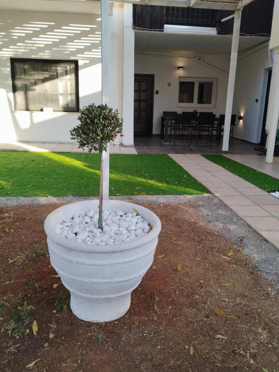 Black N' White Cozy Housegarden أليكسانثيربوليس المظهر الخارجي الصورة